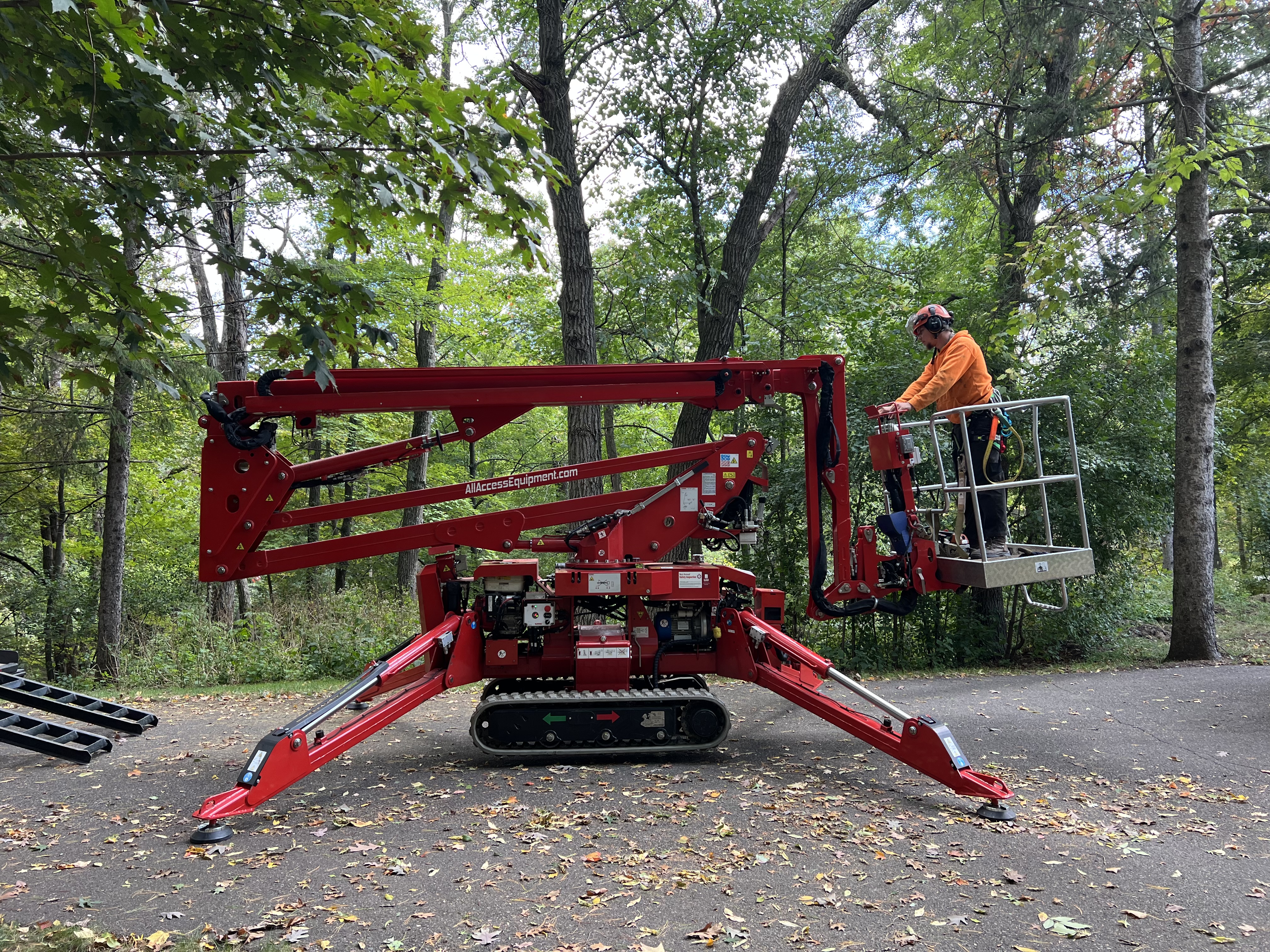 Tree Shaping and Prunning